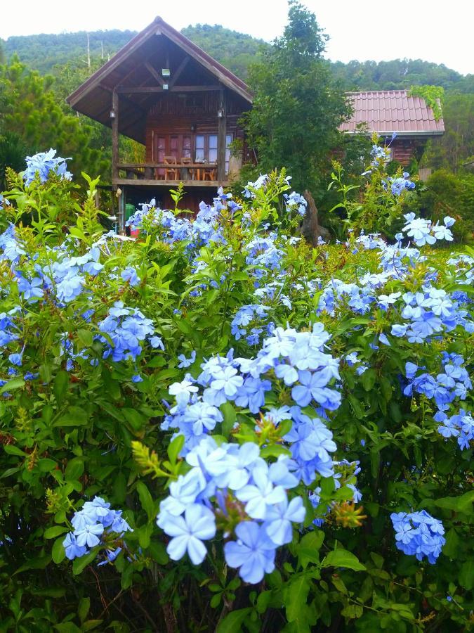 Baan Ing Phu บ้านอิงภู Ban Khao Ya Nua Exterior photo