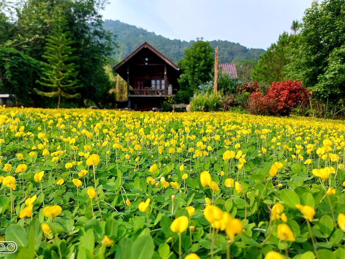 Baan Ing Phu บ้านอิงภู Ban Khao Ya Nua Exterior photo