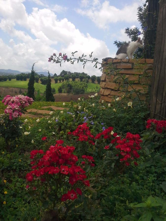 Baan Ing Phu บ้านอิงภู Ban Khao Ya Nua Exterior photo